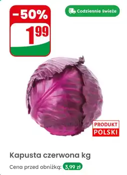 Dino Kapusta czerwona 1 kg Dino oferta