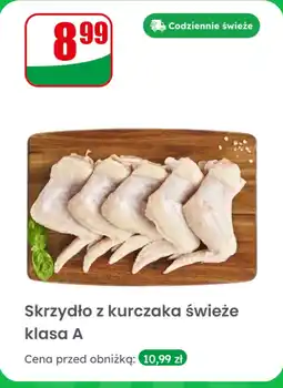Dino Skrzydło z kurczaka świeże klasa A Dino oferta