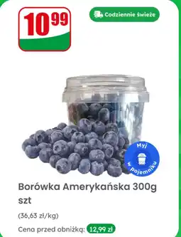Dino Borówka Amerykańska 300 g Dino oferta