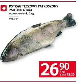 Selgros Pstrąg tęczowy oferta
