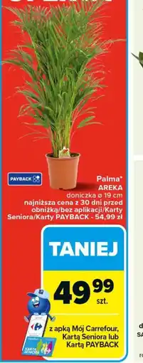 Carrefour Palma Areka oferta