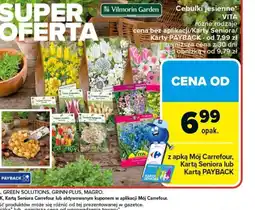 Carrefour Cebulki jesienne Vilmorin Garden oferta