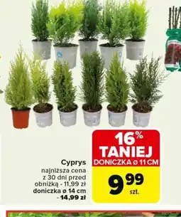 Carrefour Cyprys oferta