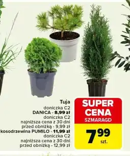 Carrefour Tuja oferta