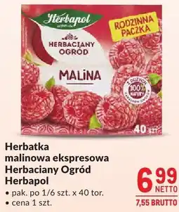 Makro Herbatka malinowa ekspresowa Herbapol Herbaciany Ogród oferta