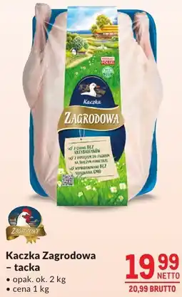 Makro Kaczka Zagrodowa oferta