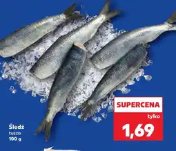 Kaufland Śledź oferta