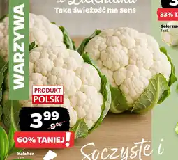 Netto Kalafior oferta