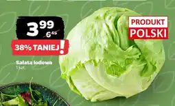 Netto Sałata lodowa oferta
