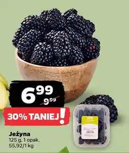 Netto Jeżyna oferta
