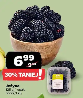 Netto Jeżyna oferta