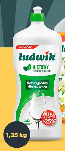 Netto Płyn do mycia naczyń Ludwik oferta