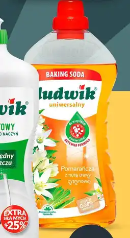 Netto Płyn uniwersalny Ludwik oferta