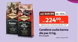 Kakadu Carnilove sucha karma dla psa oferta