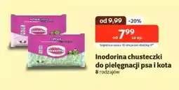 Kakadu Inodorina chusteczki do pielęgnacji psa i kota oferta