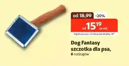 Kakadu Dog Fantasy szczotka dla psa oferta