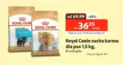 Kakadu Royal Canin sucha karma dla psa oferta
