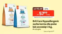 Kakadu Brit care hypoallergenic sucha karma dla psów lub szczeniąt oferta