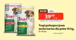 Kakadu Tropi pełnoporcjowa sucha karma dla psów oferta