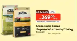 Kakadu Acana sucha karma dla psów lub szczeniąt oferta