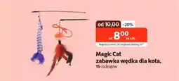 Kakadu Magic Cat zabawka wędka dla kota oferta