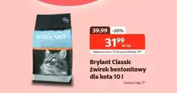 Kakadu Brylant Classic Żwirek bentonitowy dla kota oferta