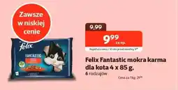 Kakadu Felix fantastic mokra karma dla kota oferta
