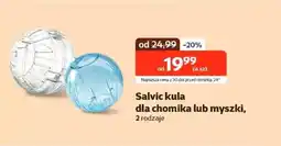 Kakadu Salvic kula dla chomika lub myszki oferta