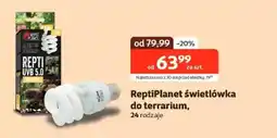 Kakadu ReptiPlanet świetlówka do terrarium oferta