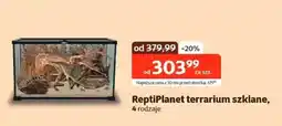 Kakadu ReptiPlanet terrarium szklane oferta