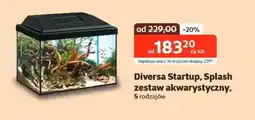 Kakadu Diversa Startup, Splash zestaw akwarystyczny oferta