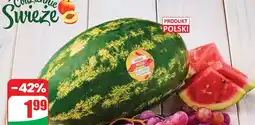 Dino Arbuz polski 1 kg Dino oferta