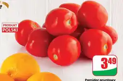 Dino Pomidor gruntowy 1 kg Dino oferta