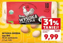 Kaufland Jajka bio Wysoka Grzęda oferta