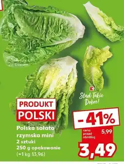 Kaufland Sałata rzymska mini Kaufland oferta