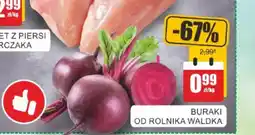 Bingo Buraki od rolnika waldka oferta
