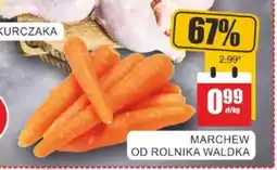 Bingo Marchew od rolnika waldka oferta