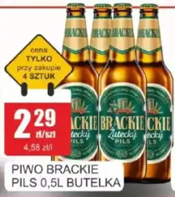 Bingo Piwo brackie pils oferta