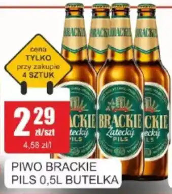 Bingo Piwo brackie pils oferta