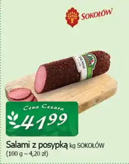 Cezar Delikatesy Salami z posypką sokołów oferta