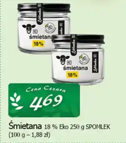 Cezar Delikatesy Śmietana 18 % eko spomlek oferta