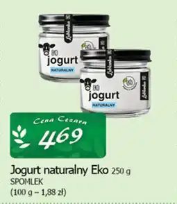 Cezar Delikatesy Jogurt naturalny eko spomlek oferta
