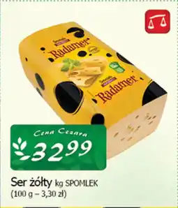 Cezar Delikatesy Ser żółty spomlek oferta
