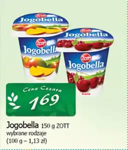 Cezar Delikatesy Jogobella zott oferta