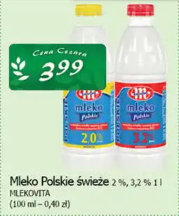 Cezar Delikatesy Mleko polskie świeże 2%, 3,2 % mlekovita oferta