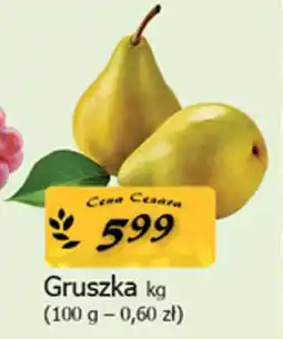 Cezar Delikatesy Gruszka oferta