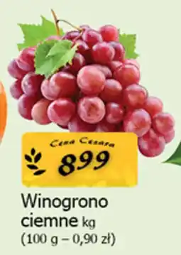 Cezar Delikatesy Winogrono ciemne oferta