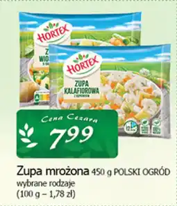 Cezar Delikatesy Zupa mrożona polski ogród oferta