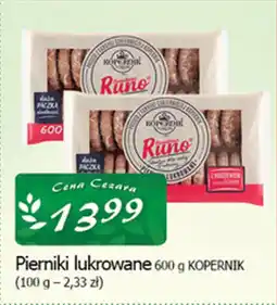 Cezar Delikatesy Pierniki lukrowane kopernik oferta