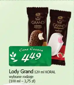 Cezar Delikatesy Lody grand koral oferta